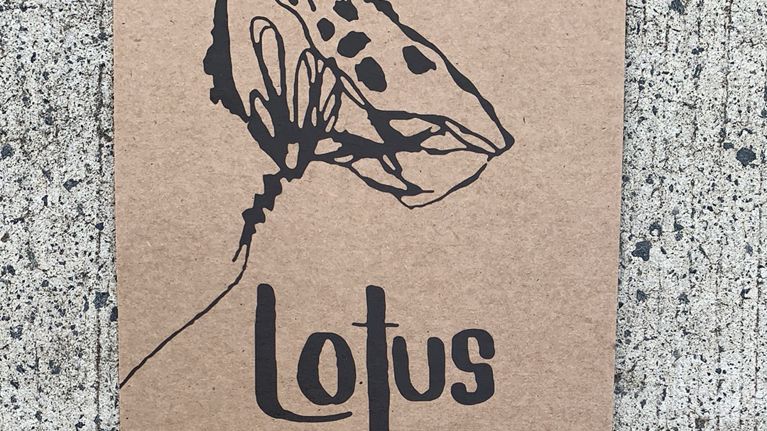 Lotus Cafe And Catering Photos 2